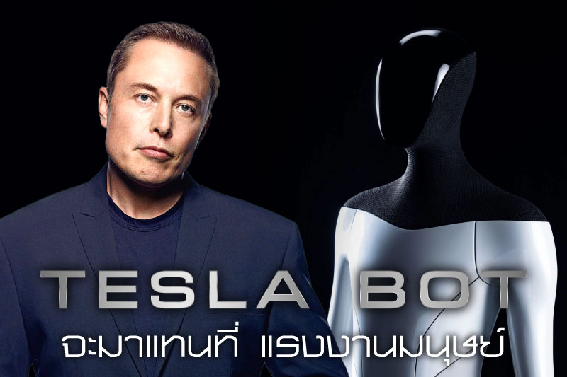 หุ่นยนต์ Tesla Bot
