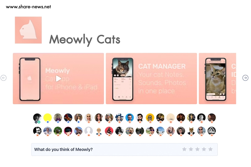 app คุยกับแมว